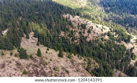 Cliff of the moutain covered with trees