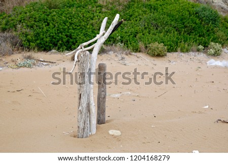 flotsam and jetsam, littering the beach  of Corfu, Greece