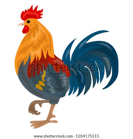 Farm cock icon. Cartoon of farm cock vector icon for web design isolated on white background Royalty-Free Stock Photo #1204175515