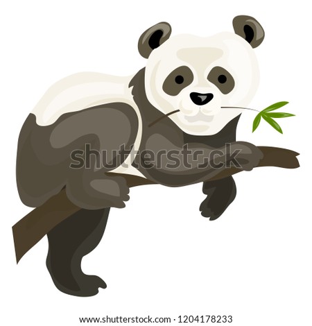Panda bear icon. Cartoon of panda bear vector icon for web design isolated on white background