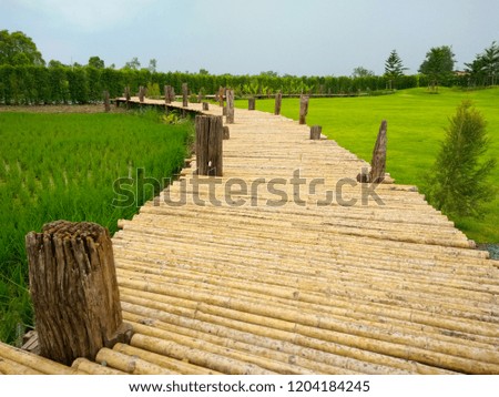 Pathway in garden, Wooden bamboo pathway in nature views.