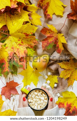 Women's hands holding a Cup of hot cocoa with marshmallow on a white wooden table with colorful autumn leaves. Fall concept. Selective focus