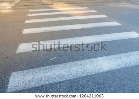 Nobody on Crosswalk in Black and white Crosswalk Darck Tone. Zebra cross walk on asphalt road.