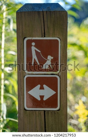 Wooden Post Dog Walk Path