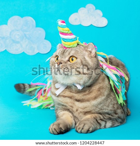 Cute cat unicorn with clouds on a blue background with clouds. The concept of fairy tales, fashion, funny and sweet cats, love and holiday