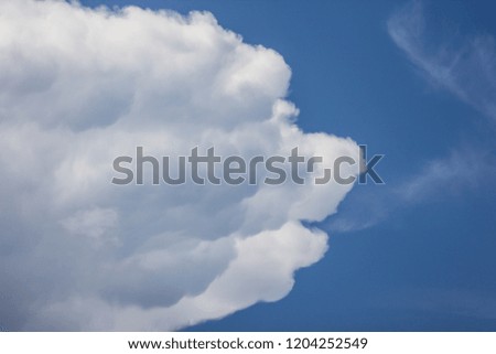 Cloud Scape, Cloud from Tropical Sky. Dog Head shape.