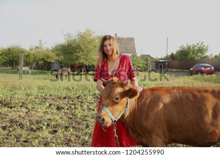 Close-up of a brown bull and a woman in a red dress on a plowed field against the background of the village. Agriculture and livestock. Love to the animals.