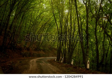 Steep road in Ai Petri mountains, Crimea, Russia. Autumn forest.