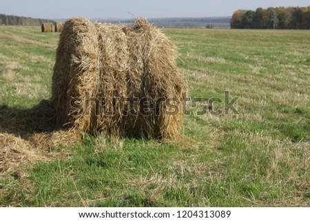 Hay Rolls On The Field
