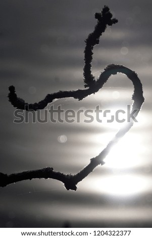  Very special atmophere - twig shaped as an open heart on grey background                             