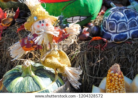 Halloween decoration, pumpkins, leaves seasonal ornaments.