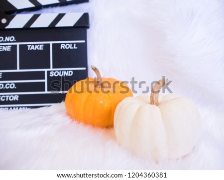Autumn pumpkins and halloween pumpkins on wool background.