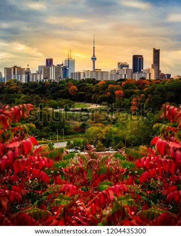 TORONTO CITY SKYLINE IN FALL - Beautiful sunset scene of Toronto in fallautumn with colorful trees. Gorgeous rare seasonal image of city landscape with red and orange colors. Toronto, Ontario, Canada