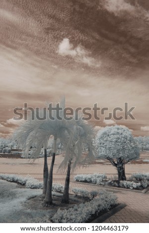 Tree and garden Image taken with infrared camera.