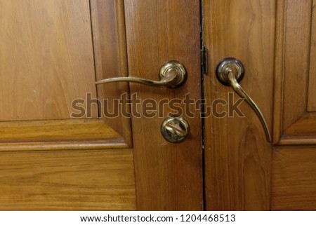 Door handles antique on a woodendoor.