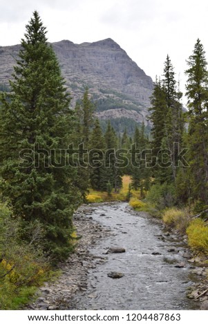 Beautiful small creek by the Northeastern entrance of Yellowstone National Park near Barronette Peak