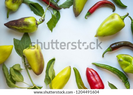 pepper with leaves. sweet and hot peppers.