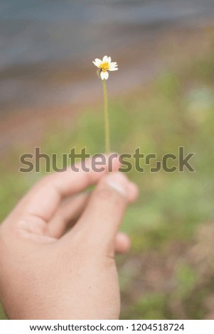 small flower with my hand.