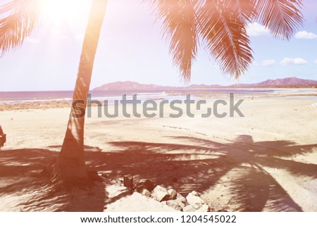 Beach holiday chairs water birds vacation coconuts people