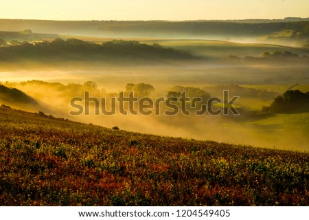Cuckmere valley, East Sussex, United Kingdom, UK, covered in mist in the lower part of the valley with golden lit rolling hills above with the sun shining on them the sea is in the background 