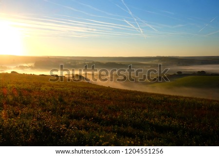 Cuckmere valley, East Sussex, United Kingdom, UK, covered in mist in the lower part of the valley with clear green rolling hills above with the sun shining on themthe sun is shining in the top left 