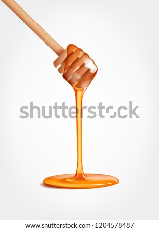 Honey stick and flowing honey isolated.  Photo-realistic vector illustration.