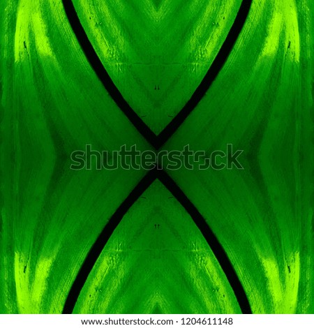approaching the stained glass in green colors, with symmetry and reflection effect,  background and texture
