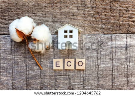 Miniature toy model house with inscription ECO letters word on wooden backdrop. Eco Village, abstract environmental background. Real estate mortgage property insurance sweet home ecology concept
