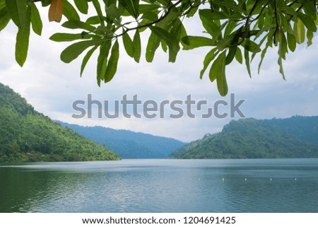 green nature forest and beautiful mountain at dam , nakhonnayok thailand , landscape concept. 