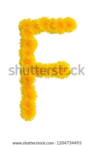 capital letter F, artistic text from dandelions, stylized floral font, isolated on white background
