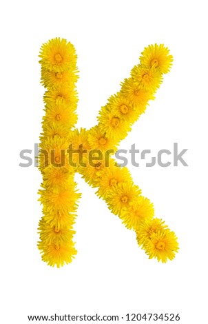 capital letter K, artistic text from dandelions, stylized floral font, isolated on white background