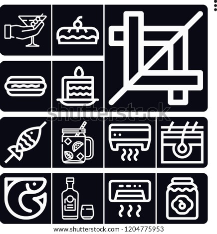 Set of 13 fresh outline icons such as martini, fish, mojito, rum, crop, hot dog, skin, jam, air conditioner, pie