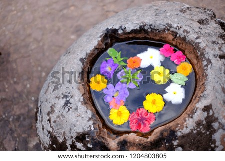 Flowers floating on stone pot