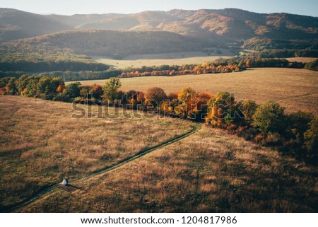 Minimalism wedding scenery. Bride and groom walking together in autumn nature. Colorful forest, meadow and hills in background. 