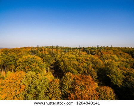 aerial view of colorful European forest in autumn with blue sky -  autumn forest aerial drone view