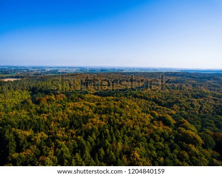 aerial view of colorful European forest in autumn with blue sky -  autumn forest aerial drone view