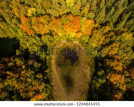 colorful forest in autumn - aerial view  - top view - autumn forest aerial drone view