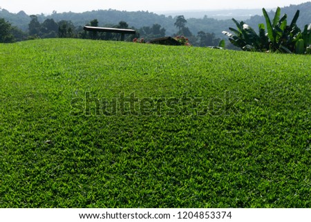 Lawn seating , green backgrounds