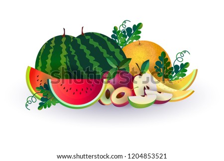 watermelon melon apple fruits on white background, healthy lifestyle or diet concept, logo for fresh fruits vector illustration