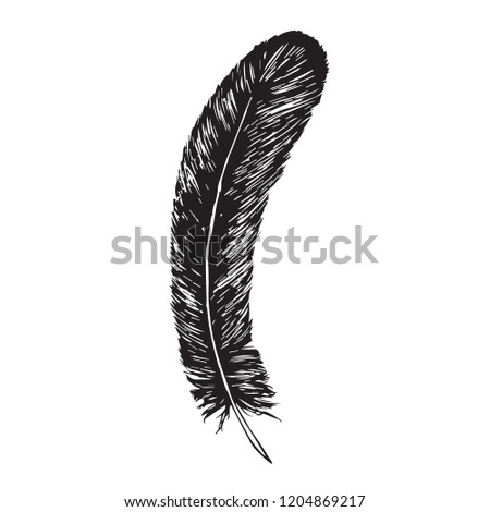 Black feather, hand drawn doodle, sketch outline, vector illustration
