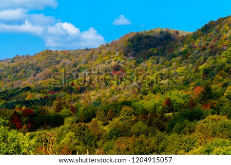 Beautiful autumn fall foliage colors against blue skies with puffy colors. Hills and mountain range in background.
