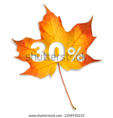 Autumn sale - 30%. Colorful maple leaf with text on white background.