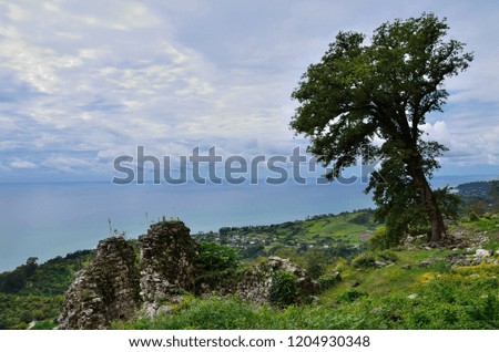 The remains of an ancient observation tower in the mountains and a lonely ancient tree on the background of the sea.