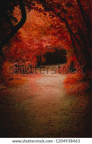 autumn colors view