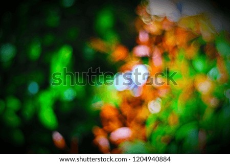 scenery young plant with blurry vision in close up and minimal style so impressive outdoor pattern for beautiful nature background