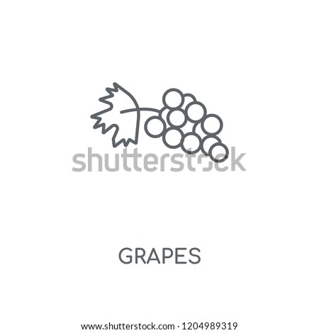Grapes linear icon. Grapes concept stroke symbol design. Thin graphic elements vector illustration, outline pattern on a white background, eps 10.