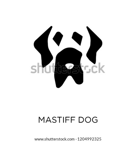 Mastiff dog icon. Mastiff dog symbol design from Dogs collection. Simple element vector illustration on white background.