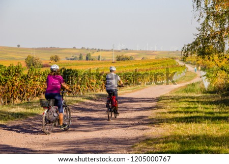A couple riding the bike with helmets through the vineyard landscape on an autumn day to spend their leisure time outside in nature and doing sports. Royalty-Free Stock Photo #1205000767