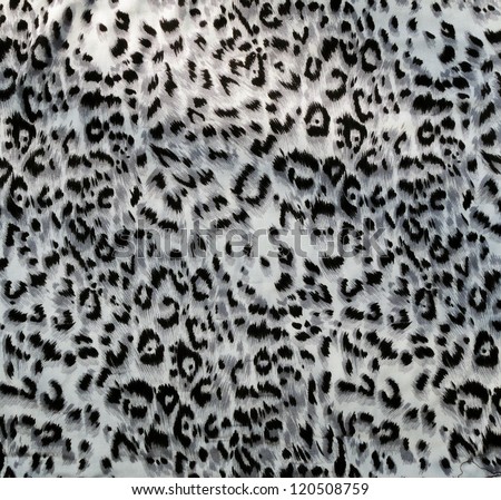 Leopard skin pattern texture Royalty-Free Stock Photo #120508759