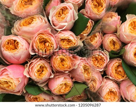 background of many orange rose in the florist shop
